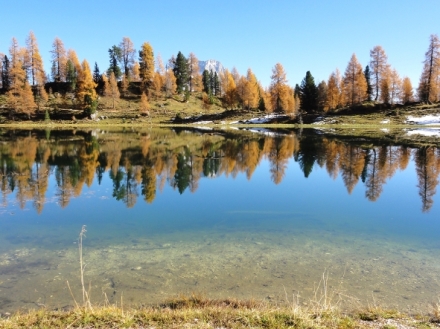 Orel skaln� - vol�n� divo�iny (1/2)