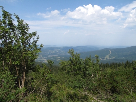Divo�ina bez hranic