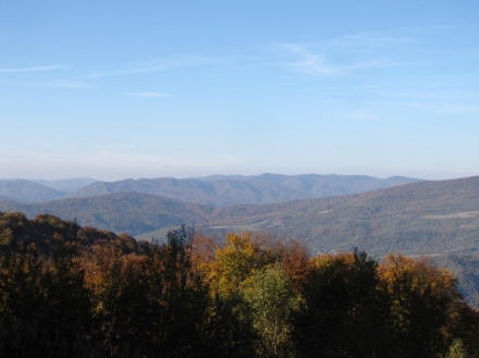 Divo�ina bez hranic