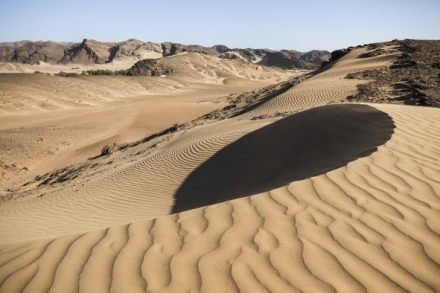 Zzran planeta: Posledn rje na Zemi - Namib