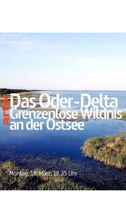 Delta Odry - divoina bez hranic