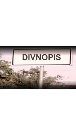 Divnopis