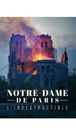 Nezniiteln katedrla Notre-Dame