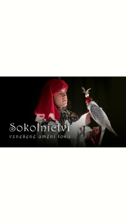 Sokolnictv - vzneen umn lovu