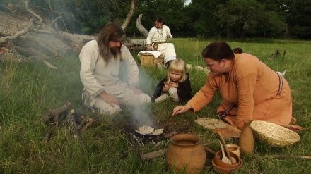 Tajemn stromy na Pohansku