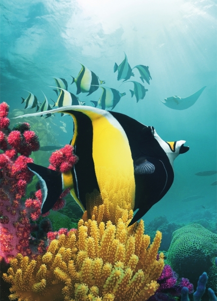 Zzran planeta: Asie (2/7)