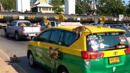 Thajsko, od severu k jihu