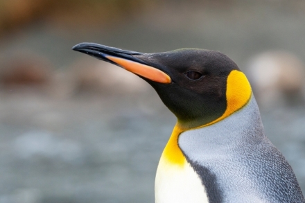 Cesty kolem sv�ta (8/12)