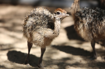 Kouzeln momenty prody