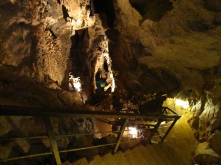 Divo�ina bez hranic