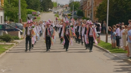 Vy��van� kr�sa