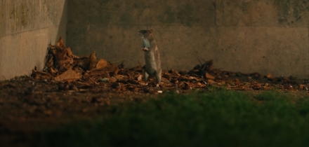 Pulzuj�c� sv�t