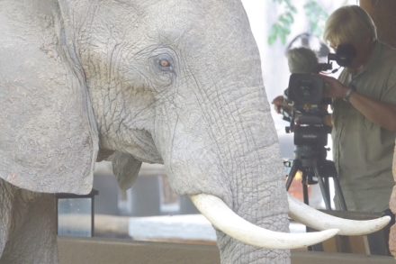 Cirkus v p��rod�