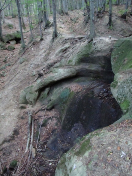 Divo�ina bez hranic