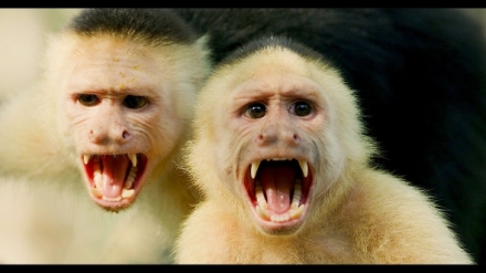 Kostarika - vzedmut� p��rody (1/3)