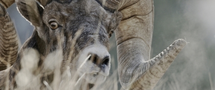 Narozeni ve Skalnat�ch hor�ch (2/2)