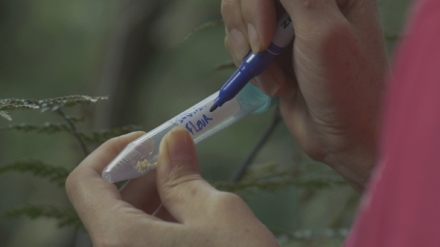 S�la rostlin - tajemn� dobyvatel