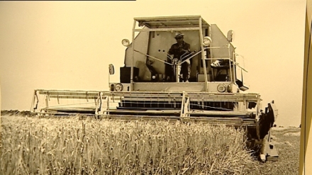 Za�lapan� projekty