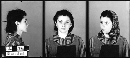 Osv�tim: Hlasy p�e�iv��ch (2/5)