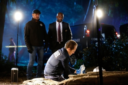 Krimin�lka Las Vegas XV (16)