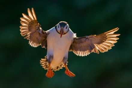 Pta�� sv�t (2)