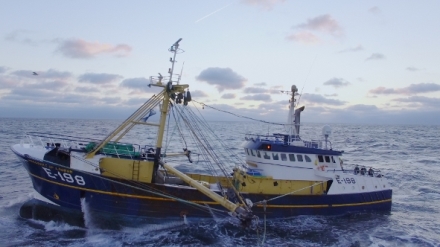 Honba za �lovkem (5)