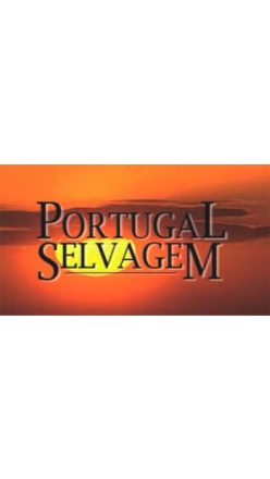 Nezkrotn Portugalsko (4)