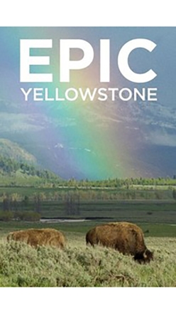 Velkolep Yellowstone (1)