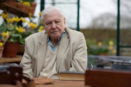 David Attenborough: Psn prody