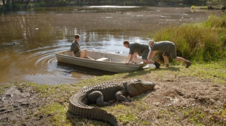 Veterin z Bondi Beach XI (13)