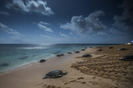 Bou�liv� rok na Zemi (2)