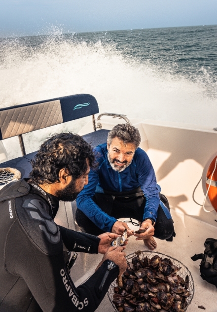 Skryt� obzory: Ar�bie (2)