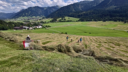 Tannheimsk� �dol�: Alpsk� klenot