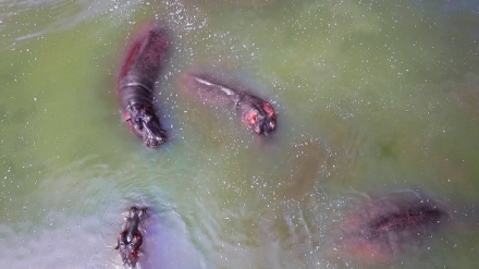 Tajemstv� odhalen� z v��ky II (6)