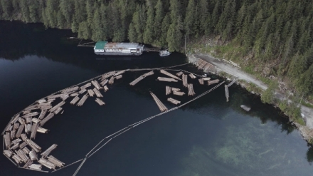 D�eva��t� tit�ni (8)