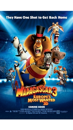 Madagaskar 3