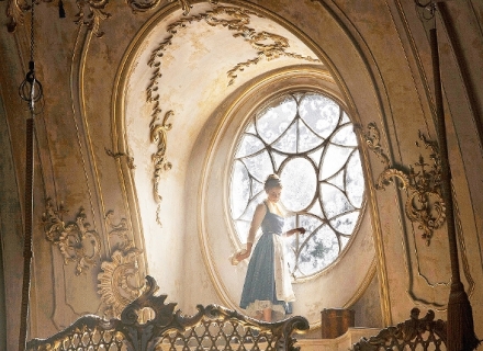 Kr�ska a zv��e