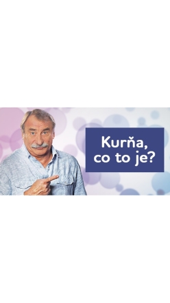 Kura, co to je?