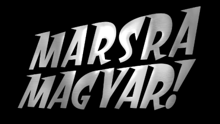 M�j kamar�d delf�n