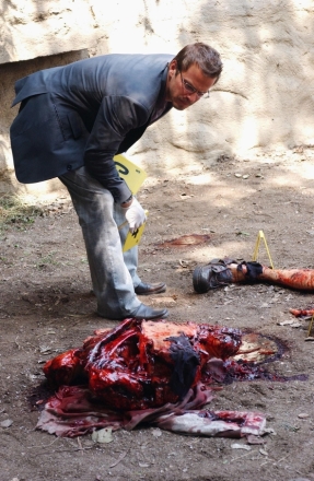 Krimin�lka New York II (3)