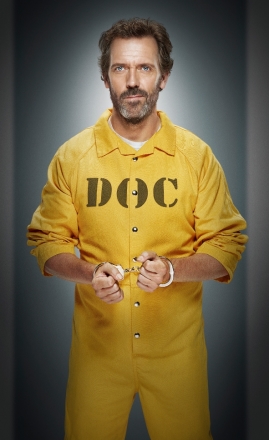 Dr. House VIII (10)