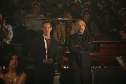 M�j p��tel Monk VII (16)