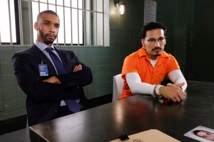 Zkon a podek: tvar pro zvltn obti XXIV (12)