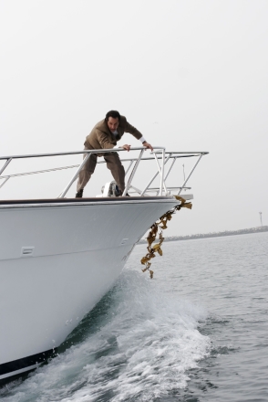 M�j p��tel Monk V (5)