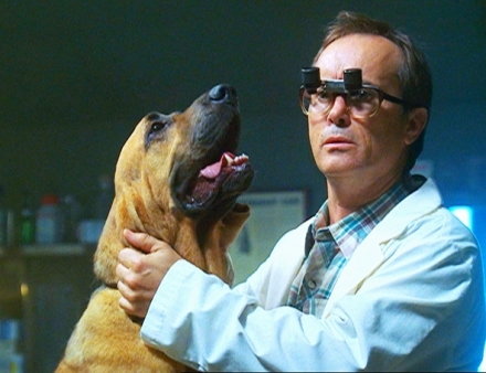 Krimin�lka Las Vegas IV (6)