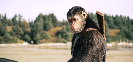 V�lka o planetu opic