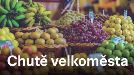 Chut� velkom�sta (5)