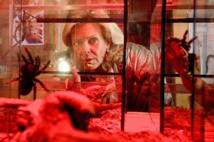 Vrady v Kitzbhelu VI (14)