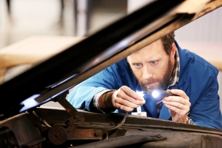 Sbratel kost XI (12)