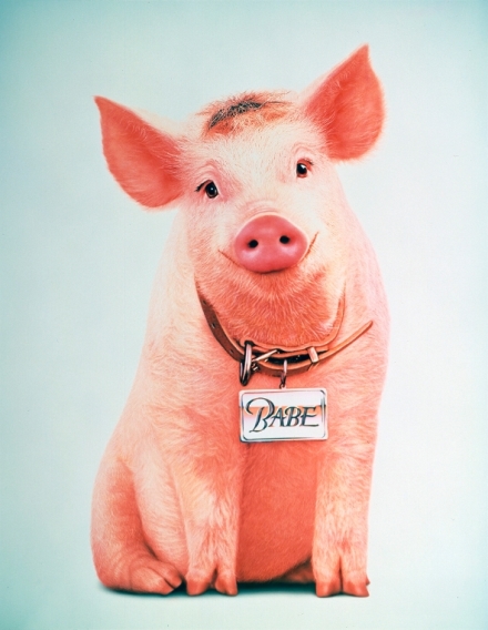 Babe: Prastko ve mst